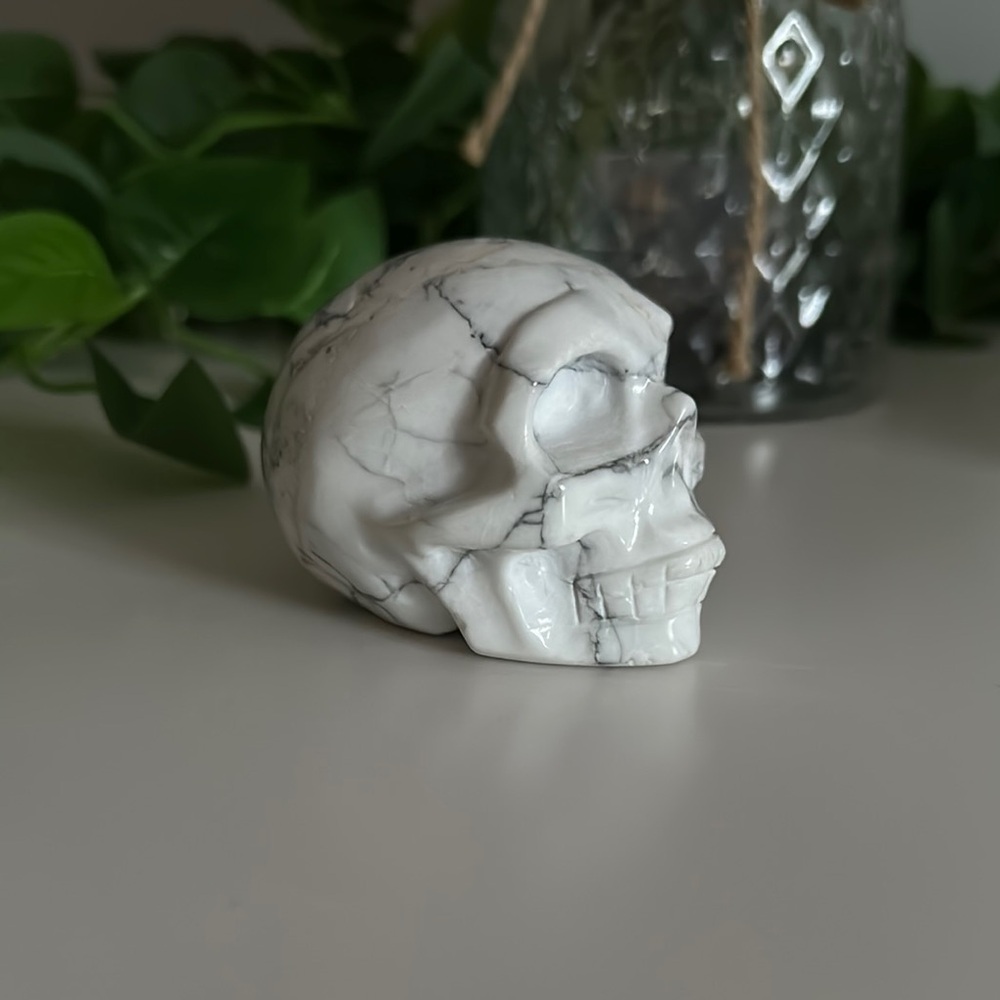 Mid Size Howlite Skull